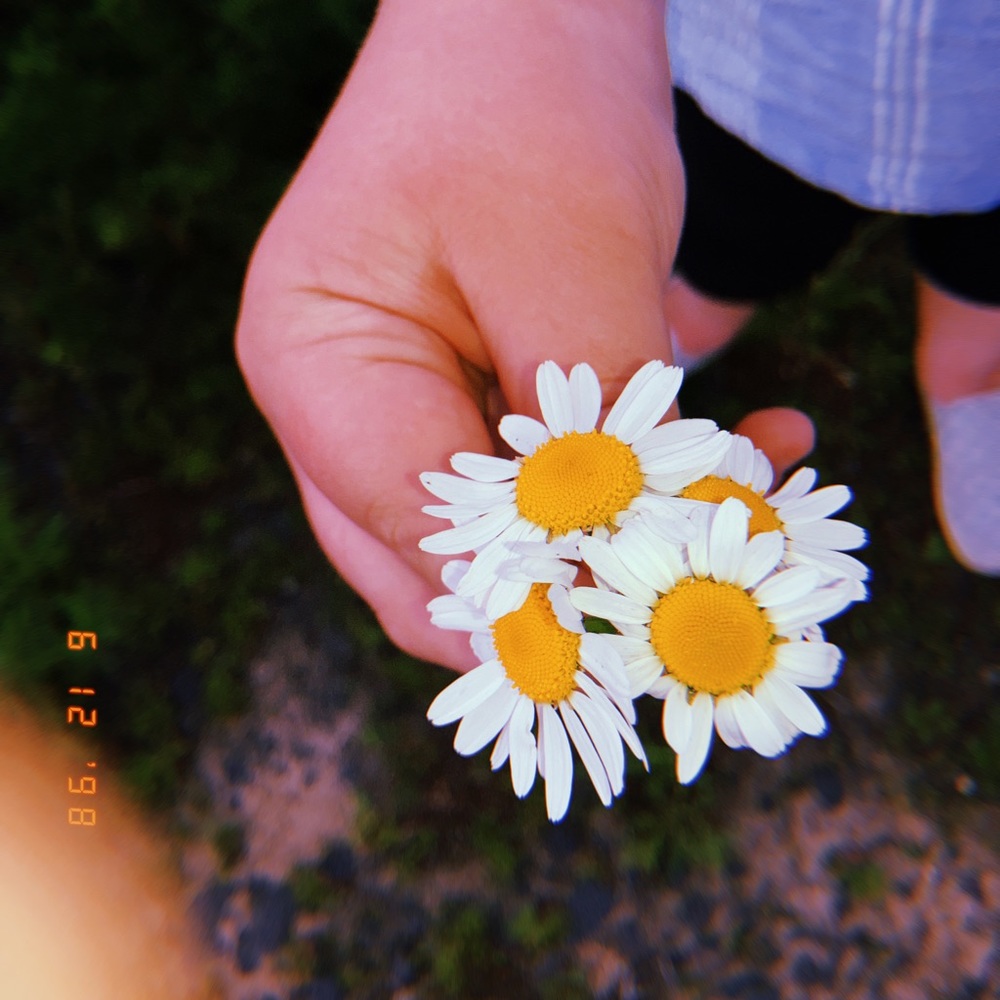 Meet your Posher, Sidney